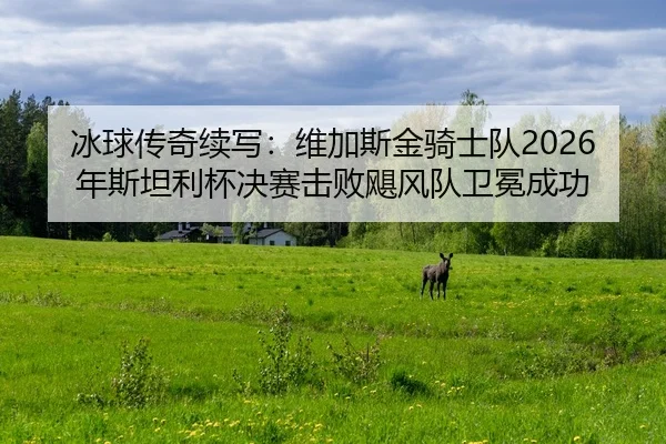 bing-qiu-chuan-qi-xu-xie-wei-jia-si-jin-qi-shi-dui-nian-si-tan-li-bei-jue-sai-ji-bai-ju-feng-dui-wei-mian-cheng-gong-2-256.jpg